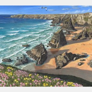 Wild Coast - Costa selvagem : Puzzle com 63 peças