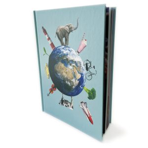 The big picture book for dementia 2ed